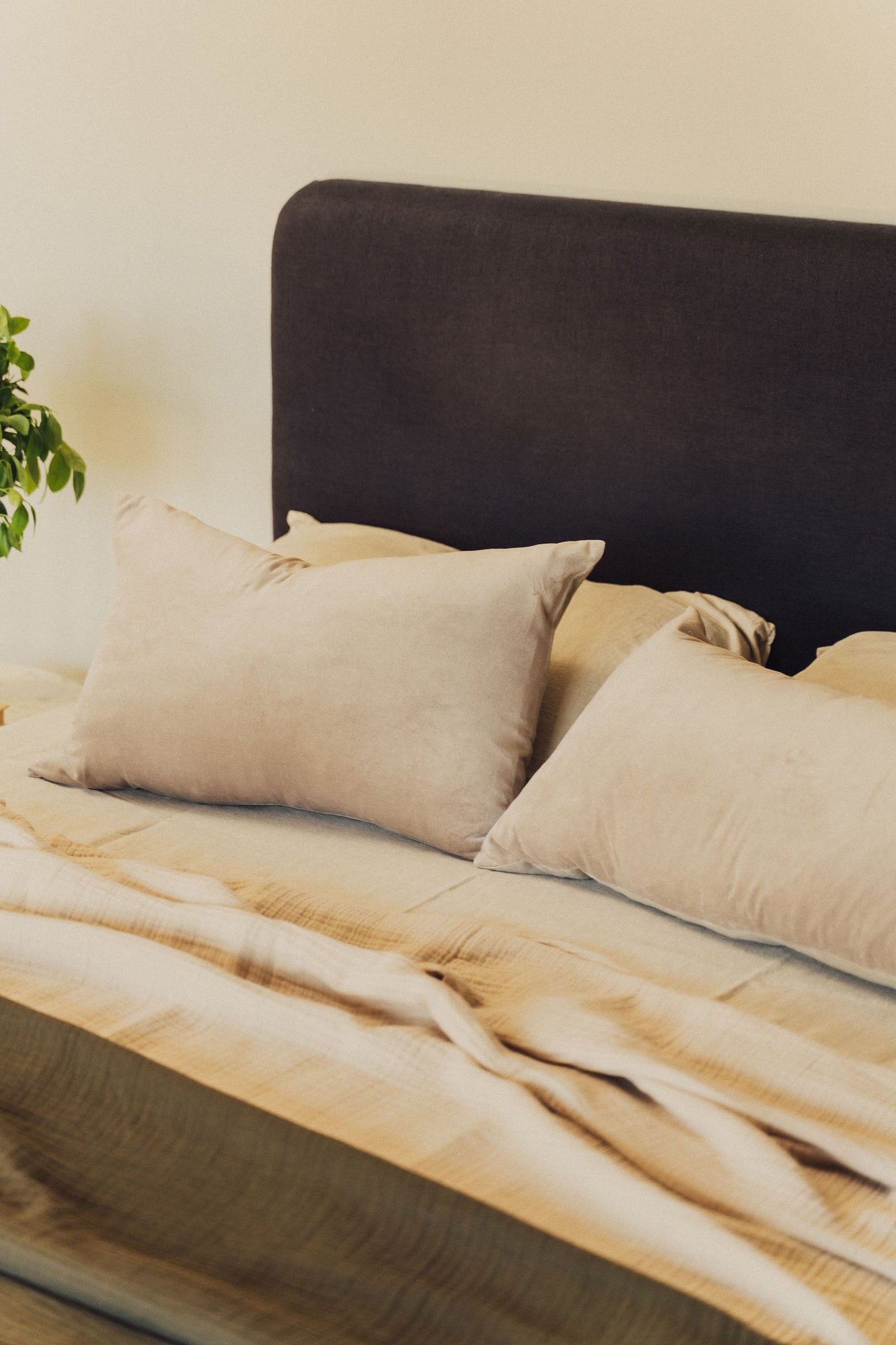 Linen/Velvet Cushion | Stone -  -  - Saardé - Saardé.