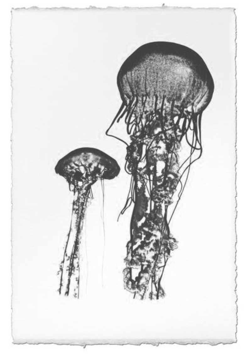 Print | Two Jellies -  -  - Barloga Studios - Saardé.